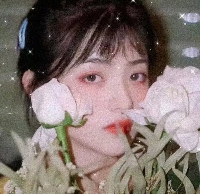 宝藏女王