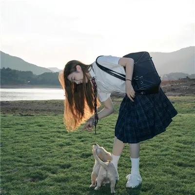信蜂